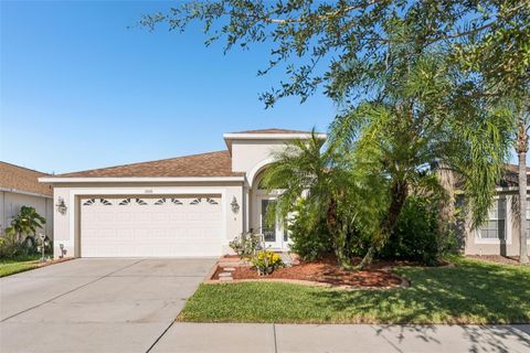 Photo of 13908 Chalk Hill Place, Riverview, FL 33579 (MLS # A4666955)