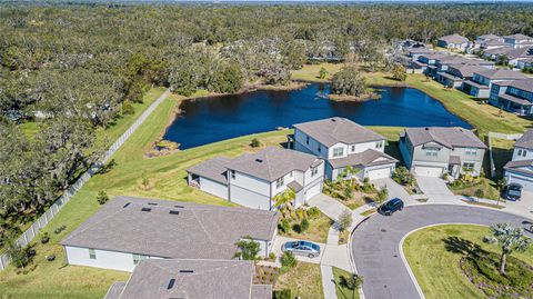 A home in RIVERVIEW