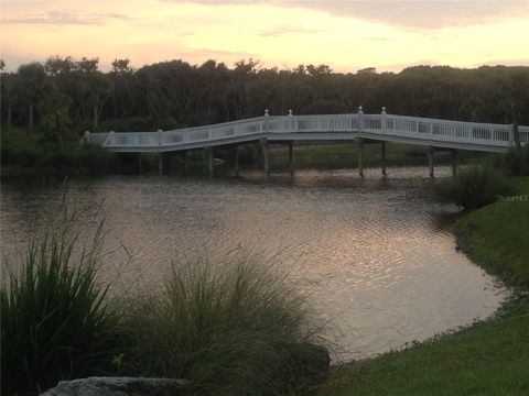 A home in PALM COAST