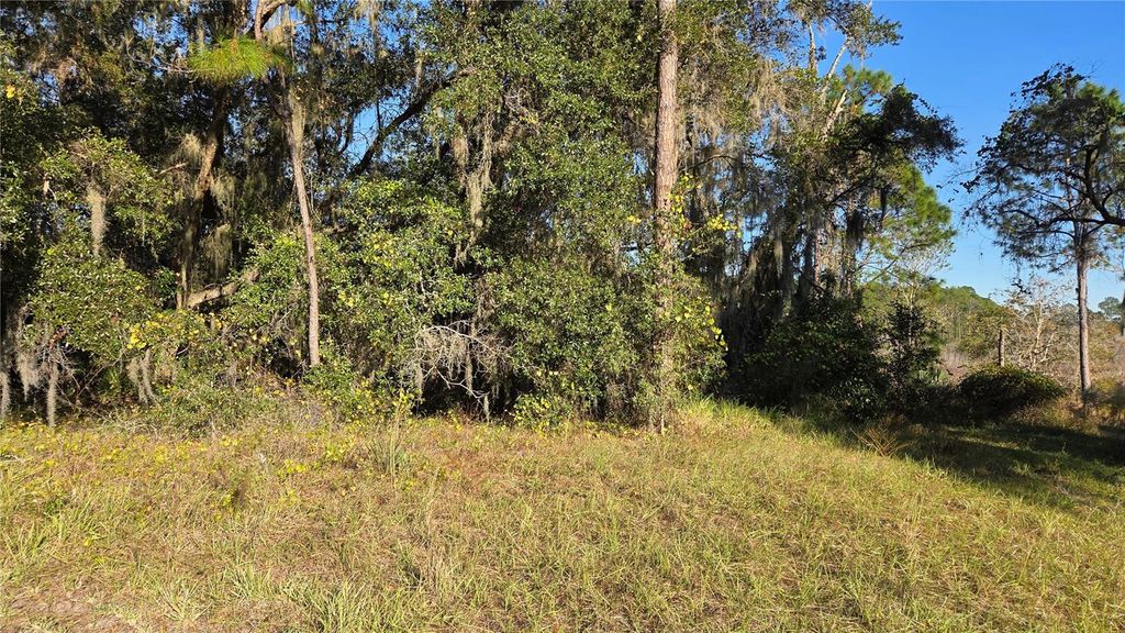 Photo of 3009 Parma Drive, Deltona, FL 32738 (MLS # O6367305)