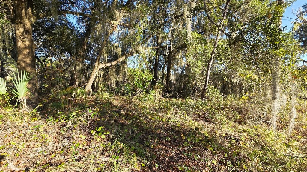 Photo of 3009 Parma Drive, Deltona, FL 32738 (MLS # O6367305)