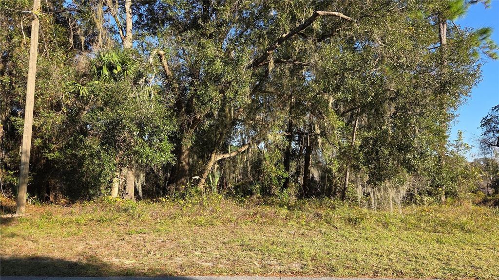 Photo of 3009 Parma Drive, Deltona, FL 32738 (MLS # O6367305)