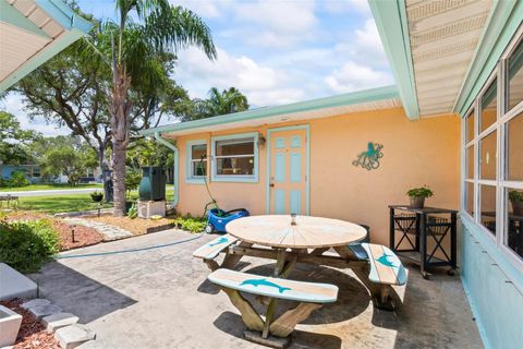 A home in FLAGLER BEACH