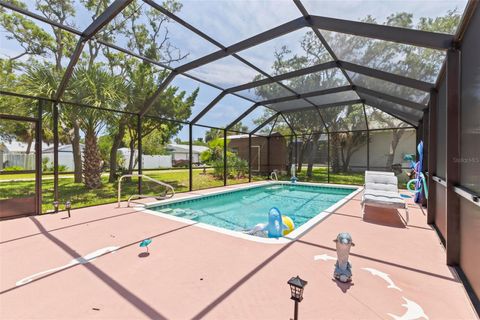 A home in FLAGLER BEACH