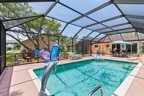 A home in FLAGLER BEACH