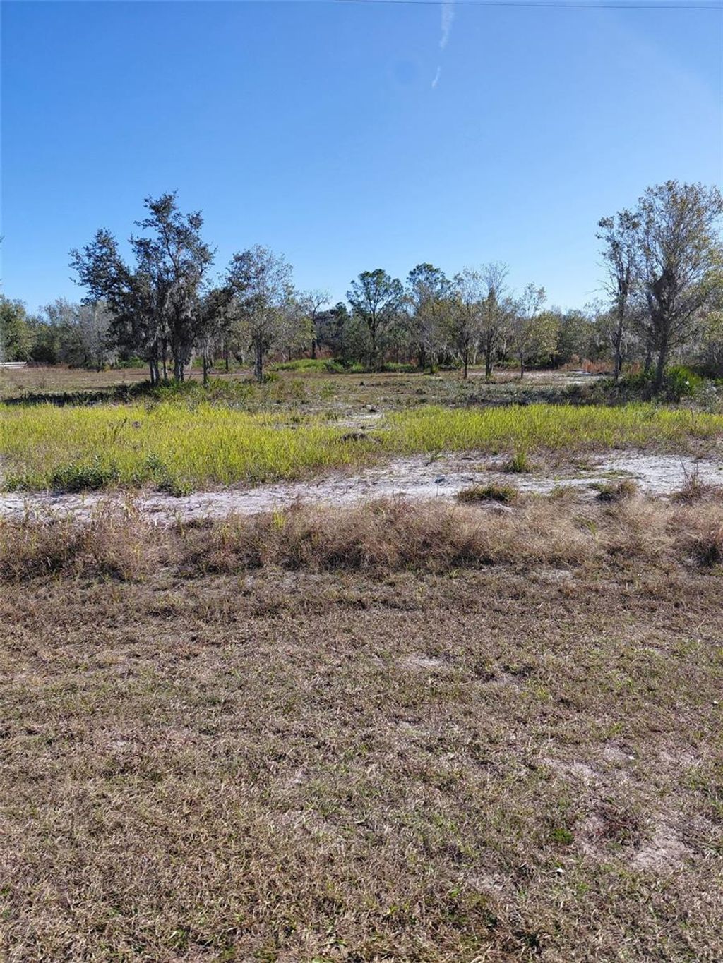 Photo of 39925 20th Place E, Myakka City, FL 34251 (MLS # A4679784)