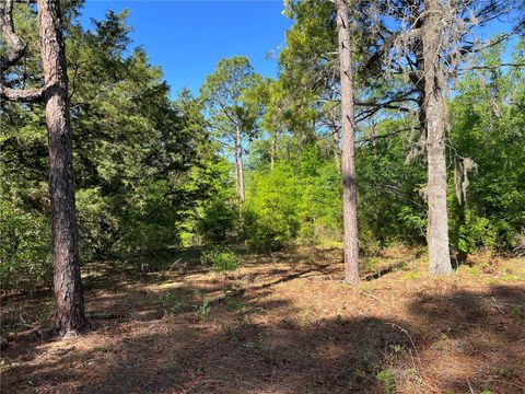 15475 SW 36TH STREET OCALA FL 34481