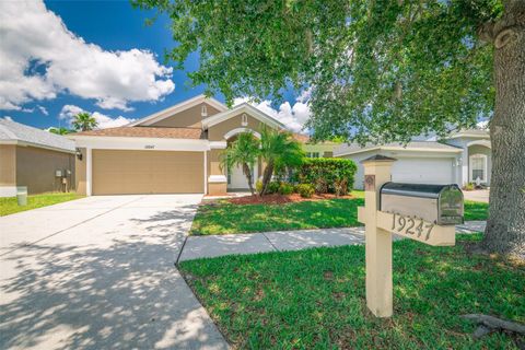 19247 OTTERS WICK WAY LAND O LAKES FL 34638