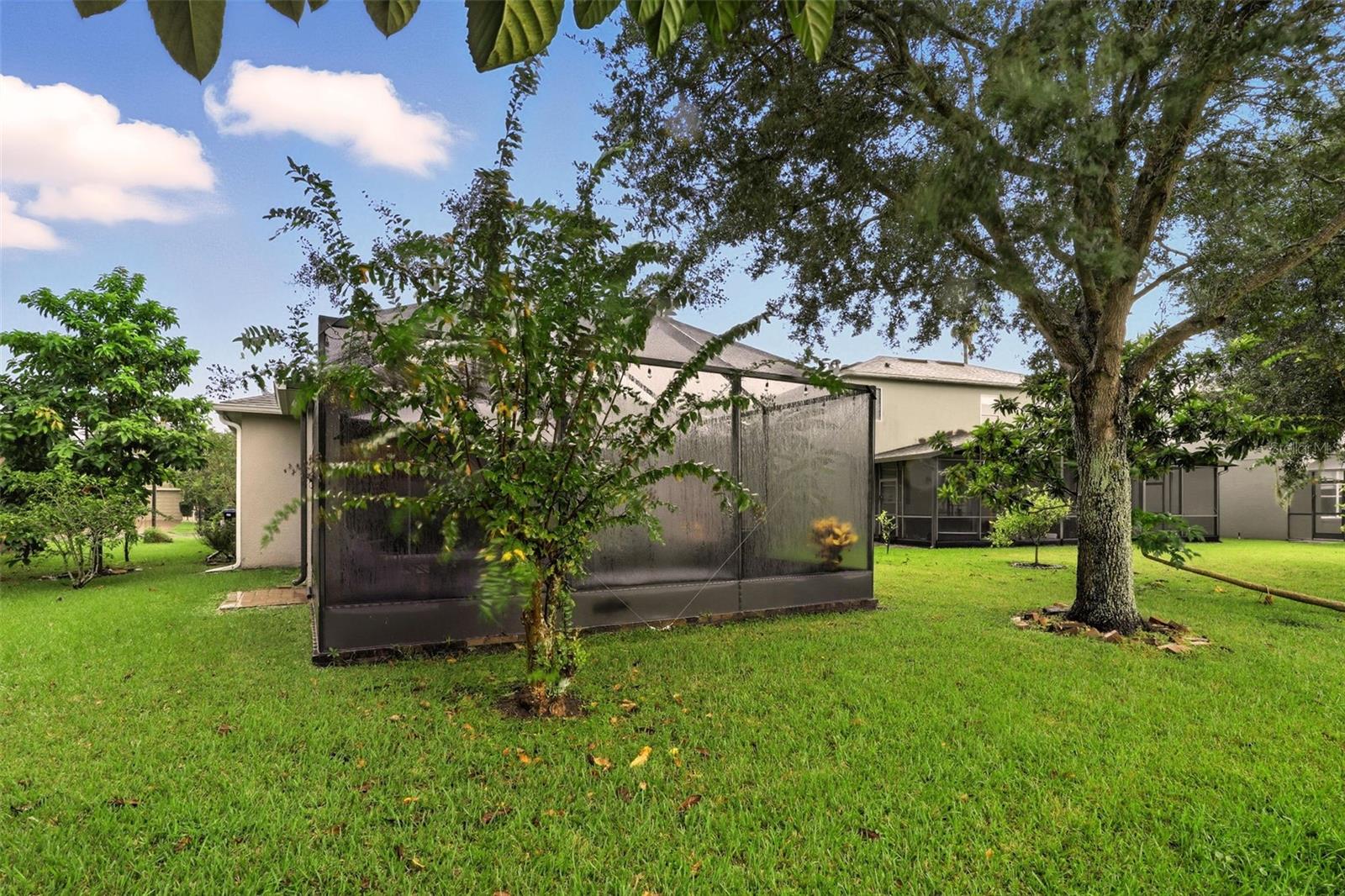 BELLA VIDA - Residential Lease