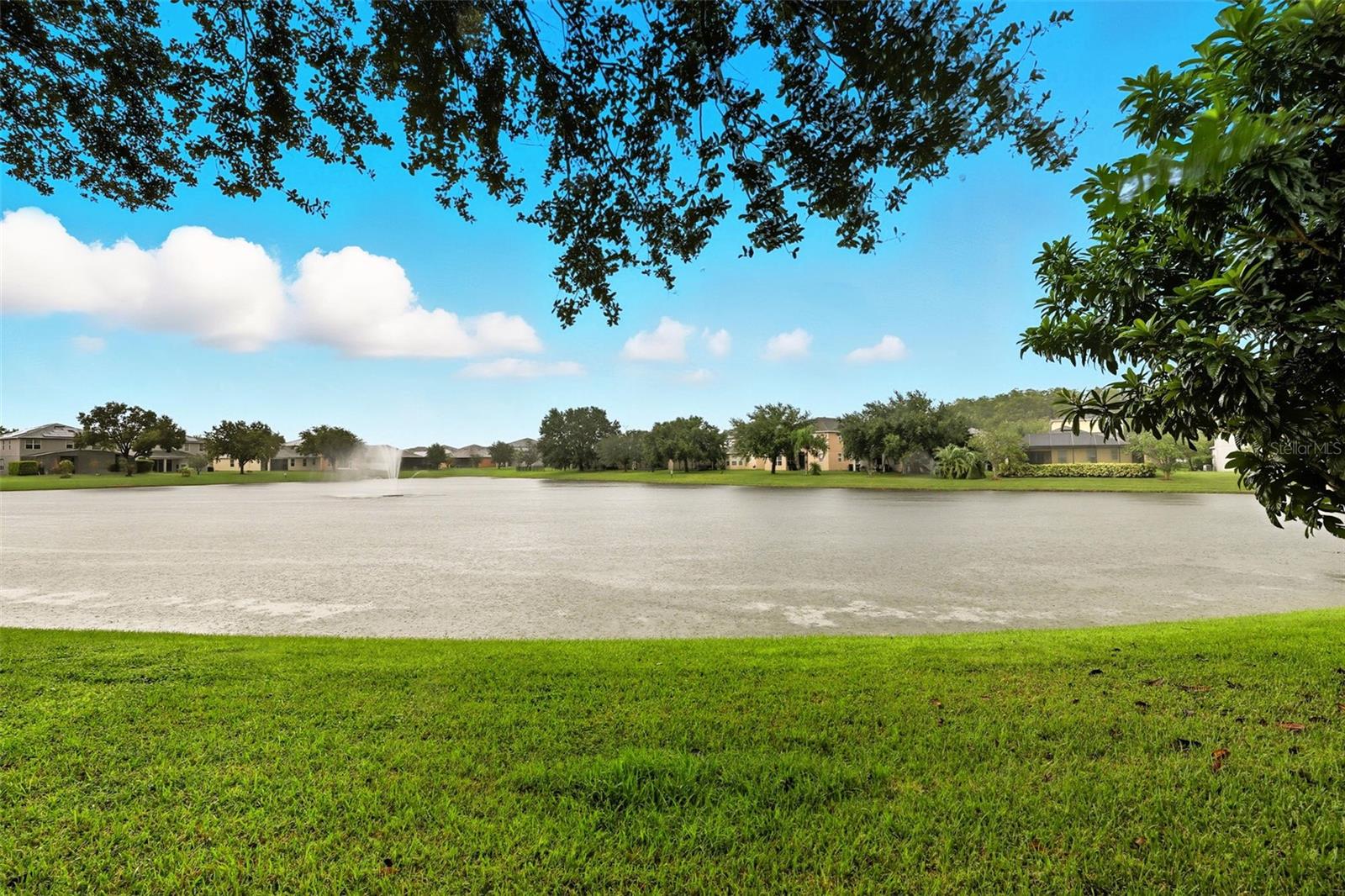 BELLA VIDA - Residential Lease