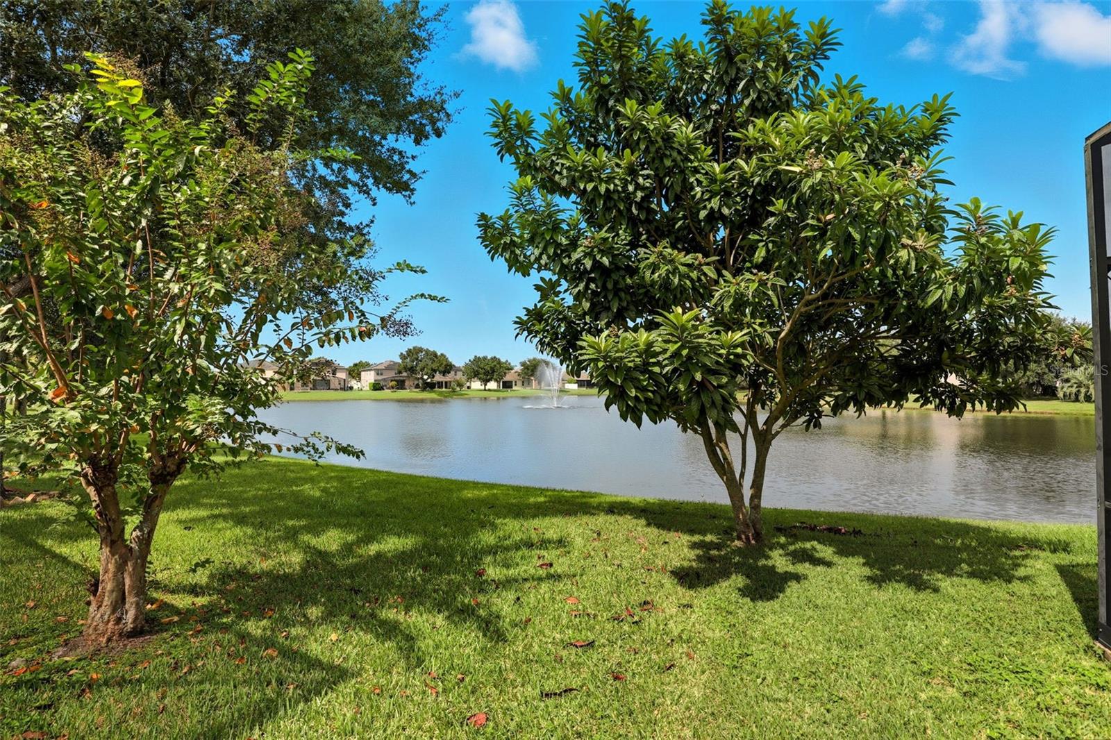 BELLA VIDA - Residential Lease