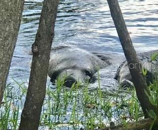 BAYOU CLUB ESTATES TR 2 PH 3 - Residential