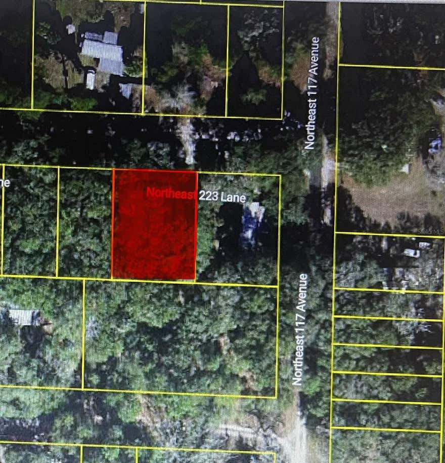 Seller Financing Available – Opportunity in Three Lakes Estates!

Discover the beauty and tranquility of the Three Lakes Estates community, located near the stunning Ocala National Forest. Whether you’re looking to build your dream home, place a manufactured home, or create the perfect weekend getaway, this property offers endless possibilities in a peaceful natural setting surrounded by Florida’s outdoor beauty.

Three Lakes Estates is known for its quiet country atmosphere, spacious surroundings, and easy access to outdoor recreation. Enjoy days filled with hiking scenic forest trails, fishing nearby lakes, kayaking spring-fed waters, camping, hunting, or simply relaxing and taking in the beauty of nature. It’s the perfect location for anyone seeking privacy, outdoor adventure, and the charm of rural Florida living.

Conveniently located near popular destinations like Juniper Springs Recreation Area, Alexander Springs Recreation Area, and Silver Glen Springs Recreation Area, you’ll have endless opportunities to explore the outdoors. Plus, you’re still within easy driving distance of Ocala, Gainesville, and Daytona Beach for shopping, dining, entertainment, and Florida’s beautiful coastline.

The property currently has a well and septic system in place; however, seller makes no guarantees or warranties regarding their condition or functionality.

Affordable opportunities in Three Lakes Estates with seller financing available are becoming increasingly difficult to find. Don’t miss your chance to own your own slice of Central Florida paradise and enjoy the outdoor lifestyle you’ve been dreaming about.

Buyer and buyer’s agent should verify all information.
