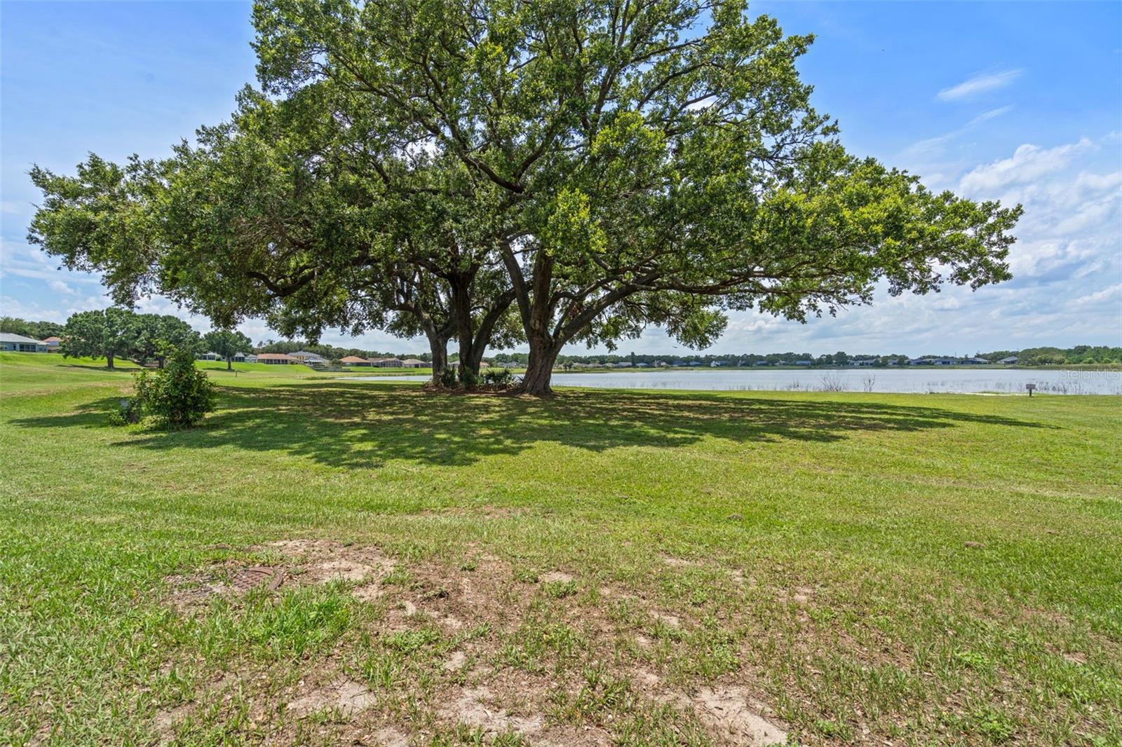 16729 TALL GRASS LANE