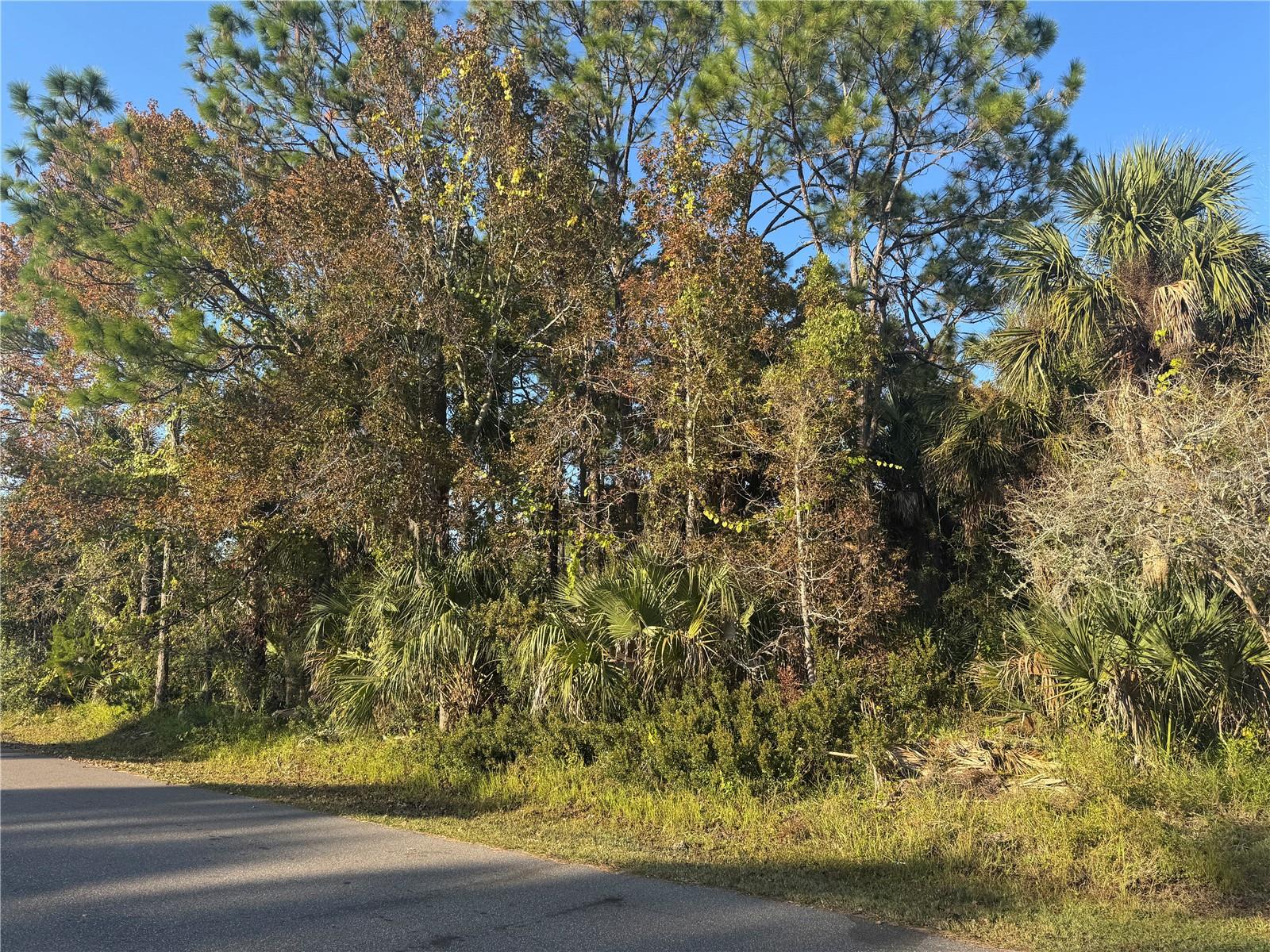 PALM COAST SEC 28 - Land