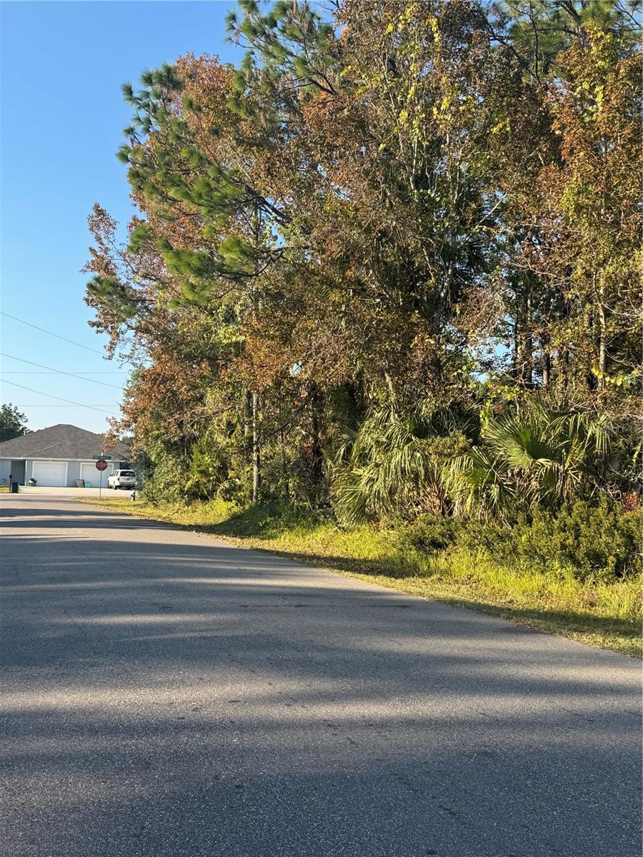 PALM COAST SEC 28 - Land