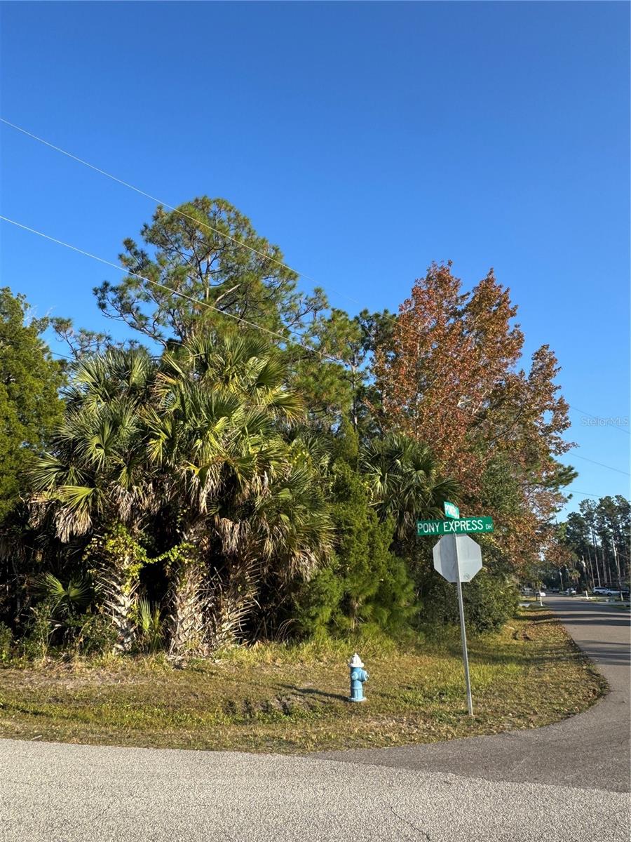 PALM COAST SEC 28 - Land