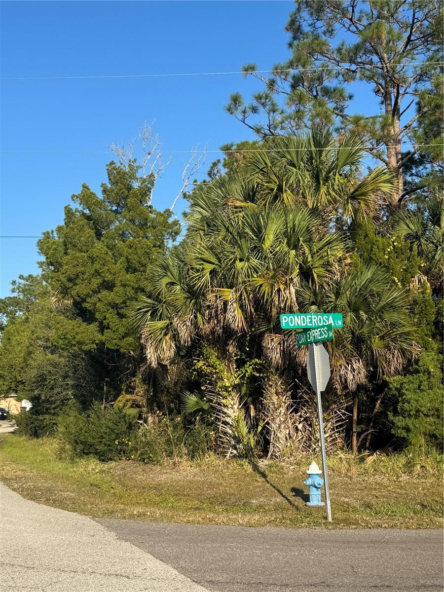 PALM COAST SEC 28 - Land