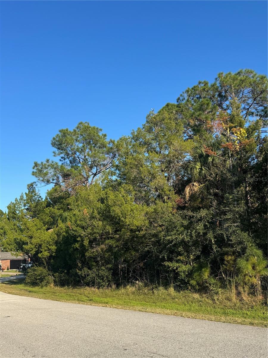 PALM COAST SEC 28 - Land