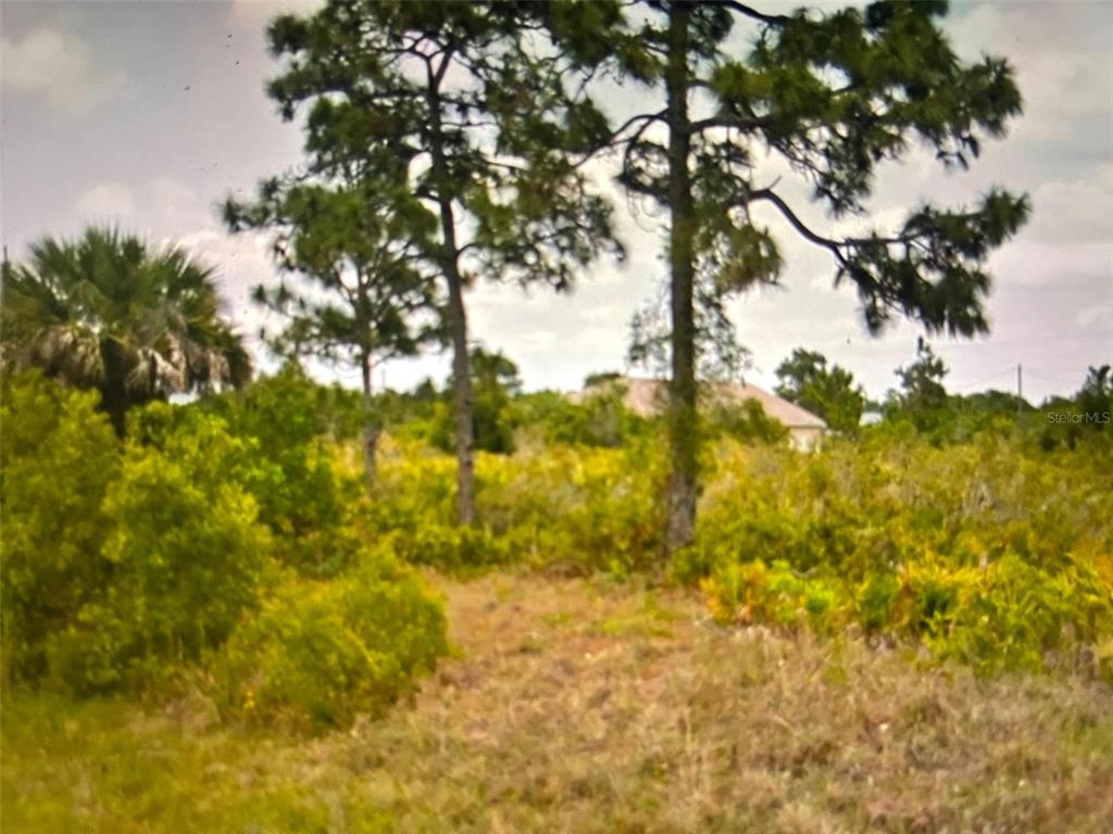 PORT CHARLOTTE SEC 056 - Land