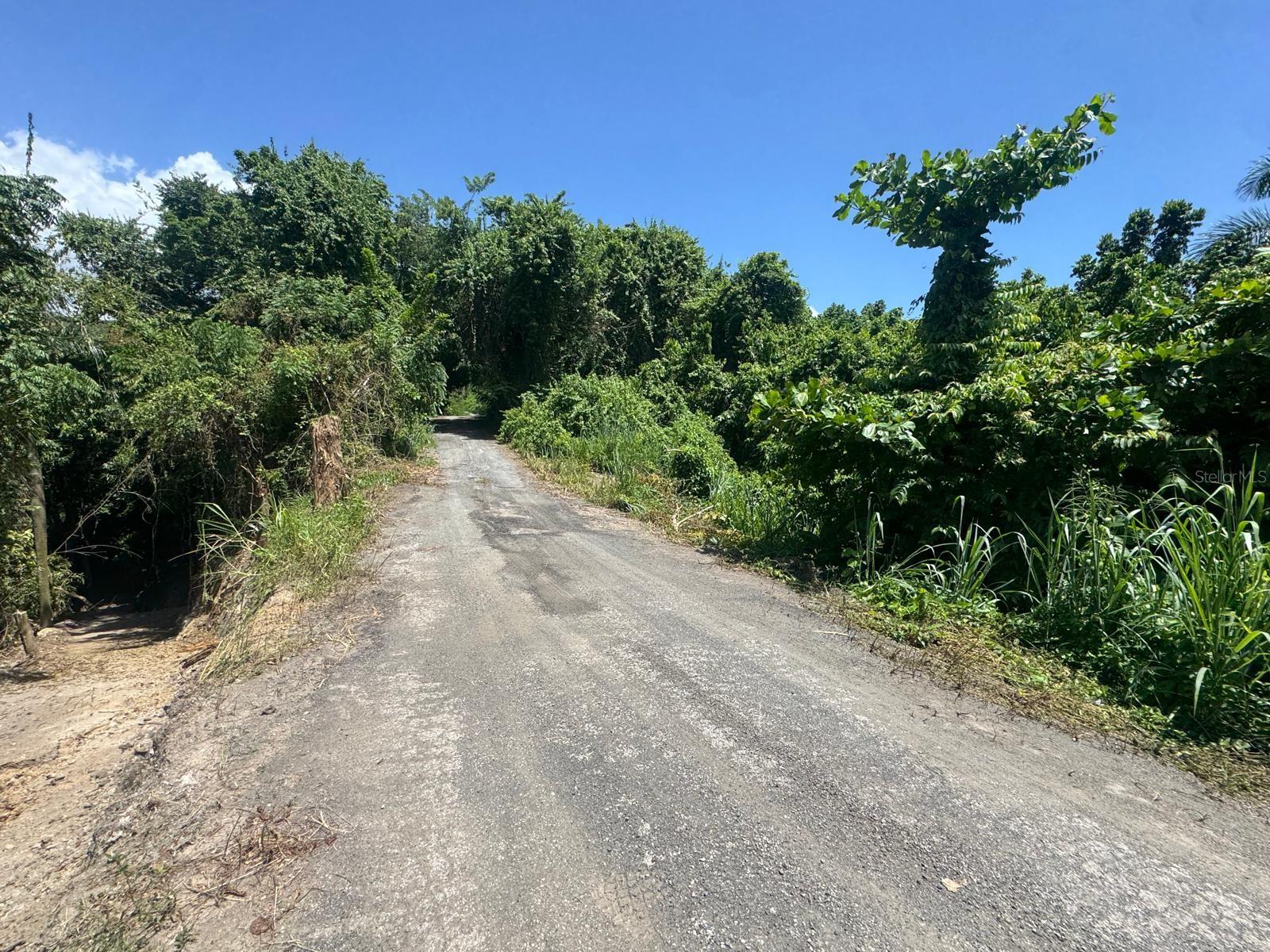 Carr. 361, Km. 3.9 BO. CAÍN BAJO
