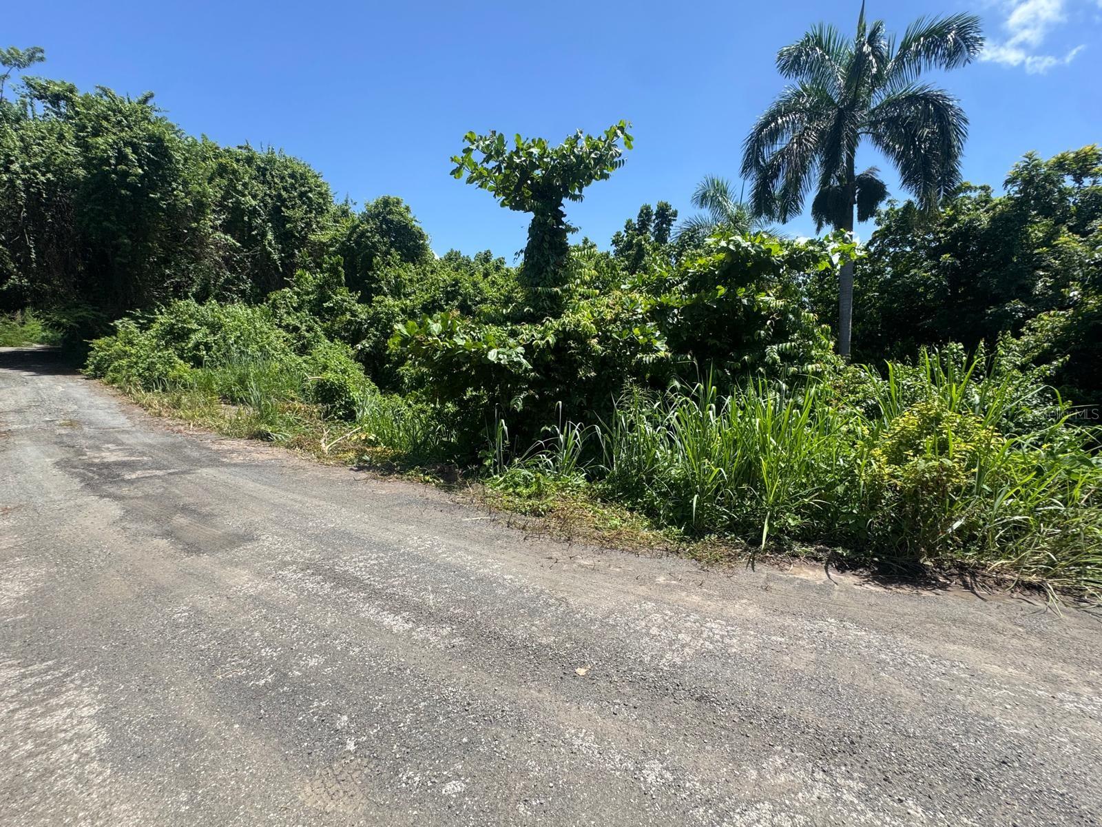 Carr. 361, Km. 3.9 BO. CAÍN BAJO