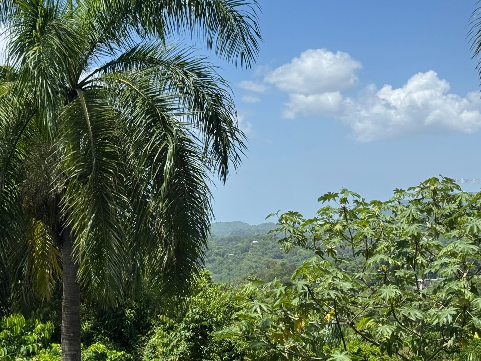 Carr. 361, Km. 3.9 BO. CAÍN BAJO