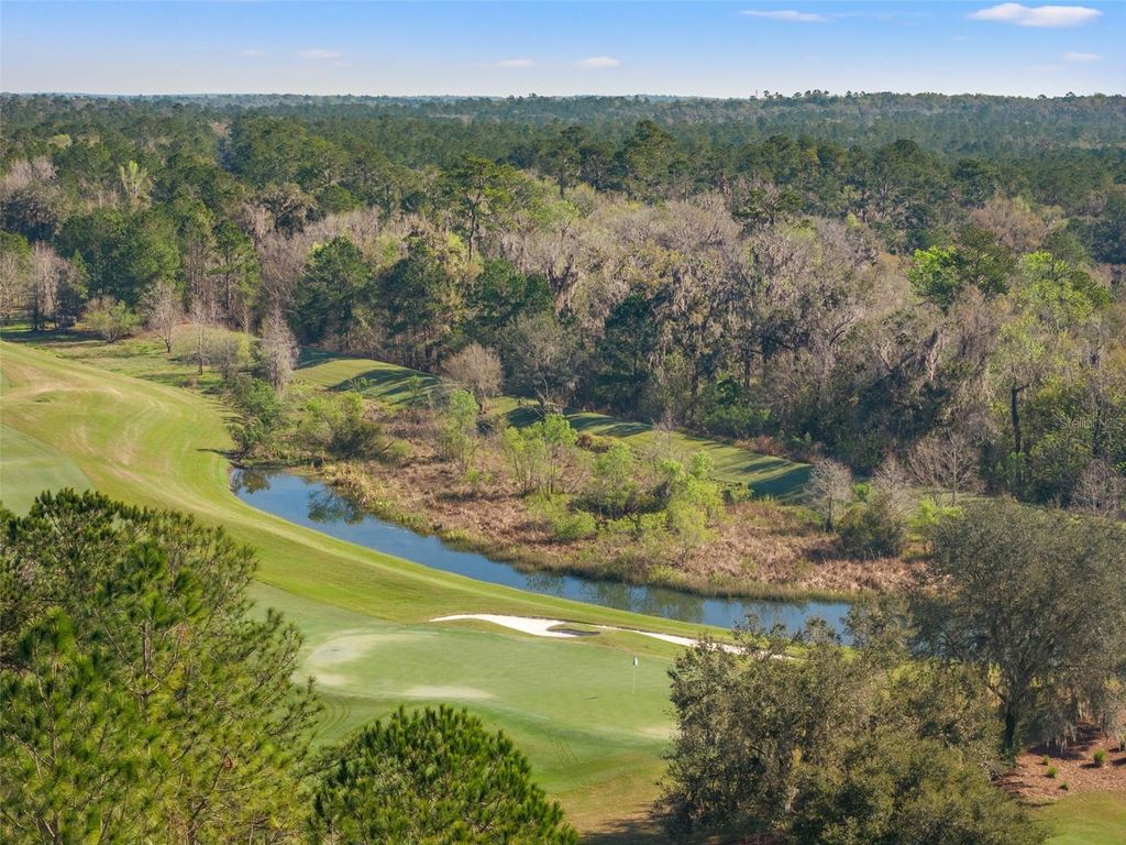 Photo of 3897 Southern Valley Loop, Brooksville, FL 34601 (MLS # TB8358120)