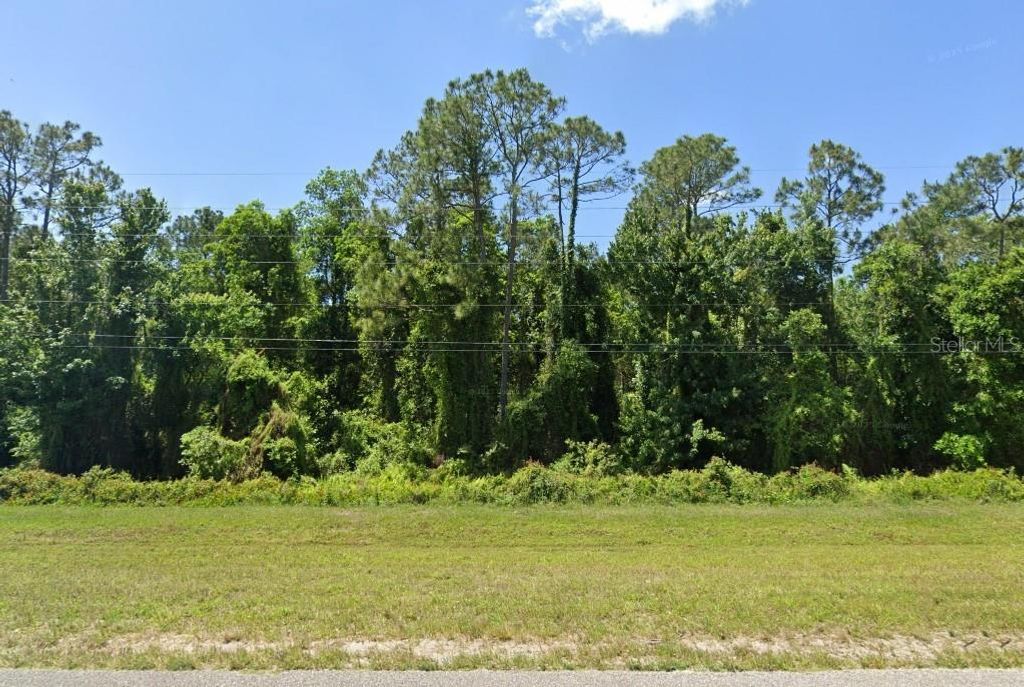 Photo of 7380 E Irlo Bronson Memorial Hwy, Saint Cloud, FL 34771 (MLS # A4683181)