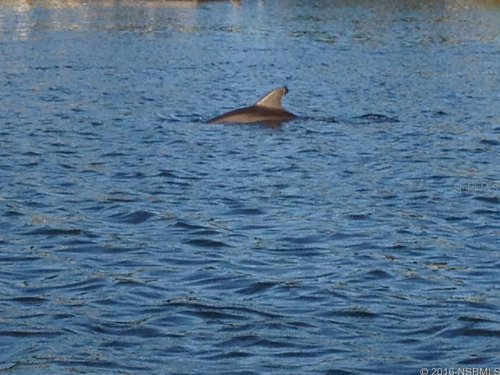 Bouchelle Island Condo - Residential