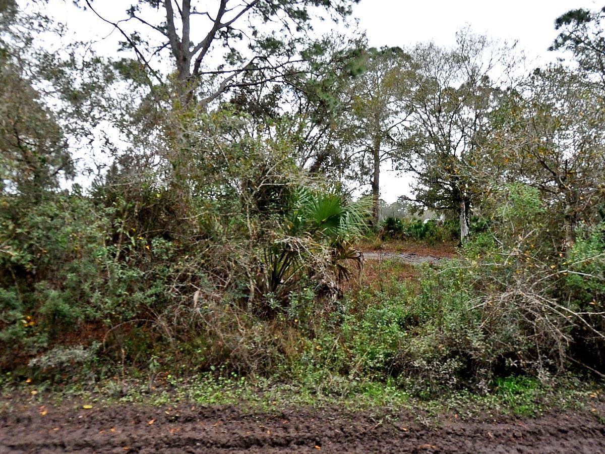Located in the rapidly growing city of North Port, Florida, this vacant residential lot offers an exceptional opportunity to build your dream home or invest in one of the most sought-after areas in Southwest Florida. Just minutes from the Sumter Boulevard I-75 interchange, the property provides convenient access to Sarasota, Fort Myers, and beyond—making commuting and travel a breeze. North Port is known for its natural beauty, abundant recreational opportunities, and family-friendly atmosphere. Residents enjoy access to world-class beaches, scenic parks, golf courses, and the famous Warm Mineral Springs. The city is also home to the Atlanta Braves Spring Training facility and a growing selection of shops, restaurants, and cultural amenities. Zoned for residential use, this parcel is a blank canvas ready for development in a community that continues to thrive. Whether you're a builder, investor, or future homeowner, this property presents a prime opportunity in a location that blends convenience, nature, and community charm.