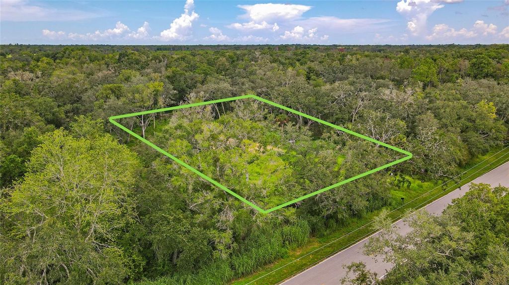 Photo of 17247 Lawless Rd, Spring Hill, FL 34610 (MLS # W7879981)