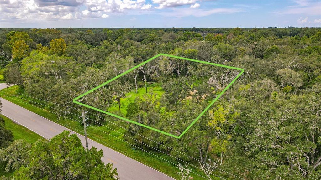 Photo of 17247 Lawless Rd, Spring Hill, FL 34610 (MLS # W7879981)