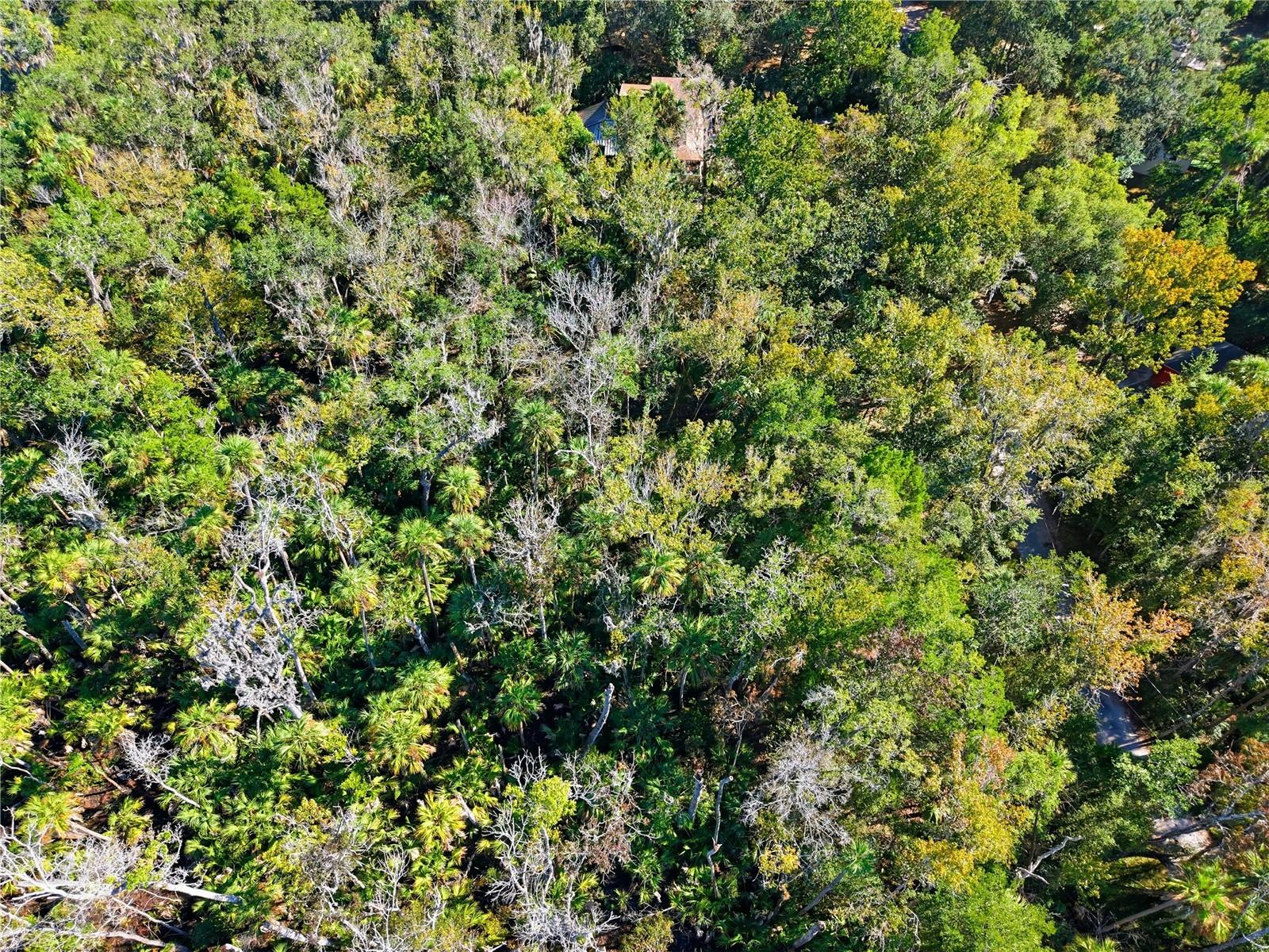 HOMOSASSA CO SUB - Land