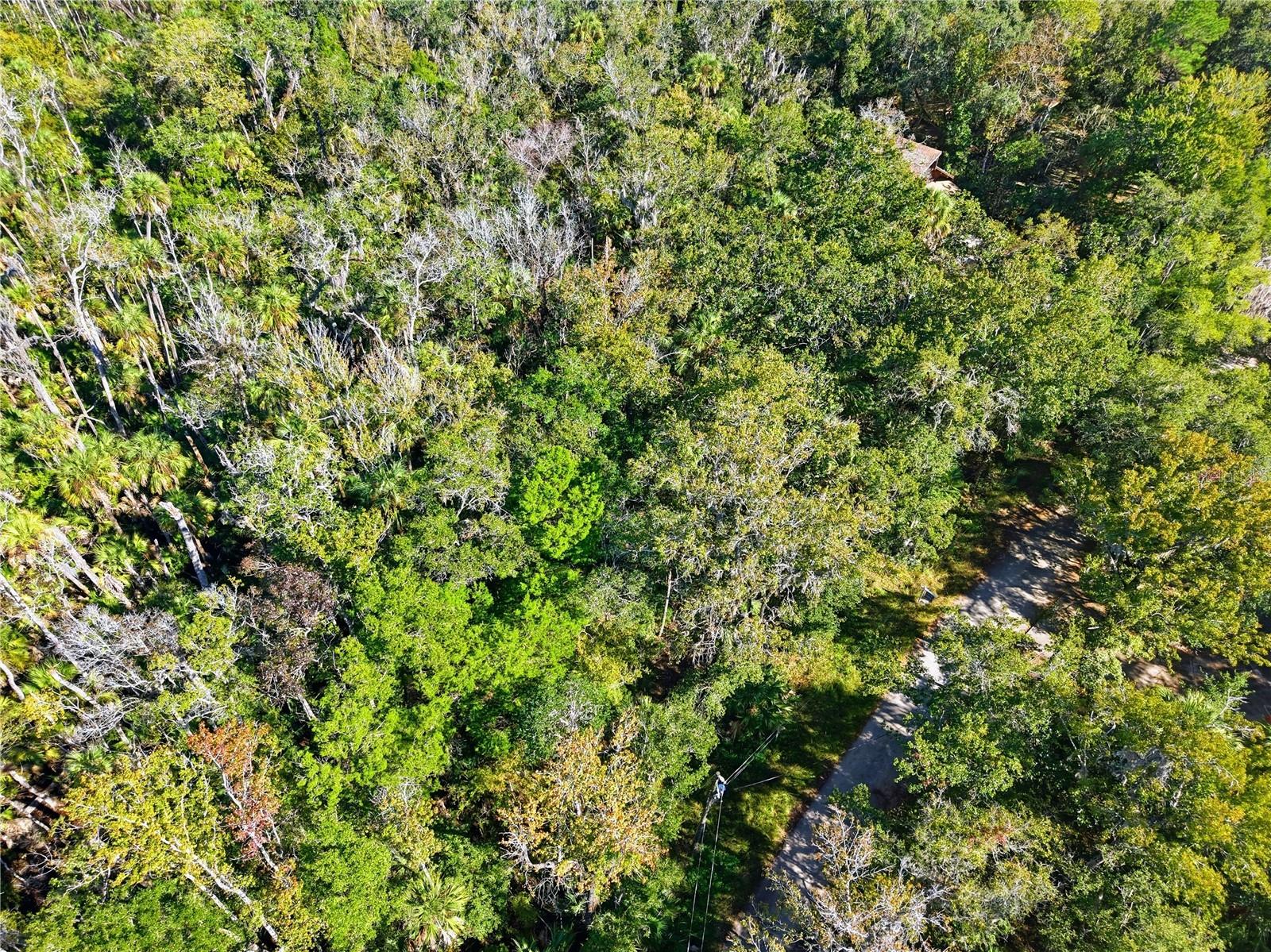 HOMOSASSA CO SUB - Land