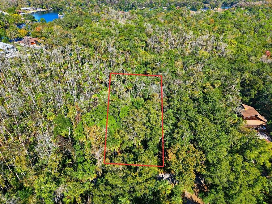Build your dream home in beautiful Homosassa! This .33-acre vacant lot offers endless potential with plenty of room to design the home - or homes - you’ve always envisioned. Nestled in a low-density neighborhood zoned for single-family residences, the property provides the perfect balance of privacy and community charm. Residents enjoy community water access to the Homosassa River, ideal for boating, fishing, kayaking, and exploring Florida’s natural beauty. There’s even a dock at the end of the road that leads directly to the springs. Located just minutes from Homosassa Springs State Park, scenic nature trails, and countless opportunities for outdoor recreation, this property is also conveniently close to local dining, shopping, and area parks. Whether you’re looking to build now or invest for the future, this lot offers a rare opportunity to enjoy tranquil, nature-filled living with easy access to modern conveniences. Don’t miss your chance to make this special piece of Florida yours!