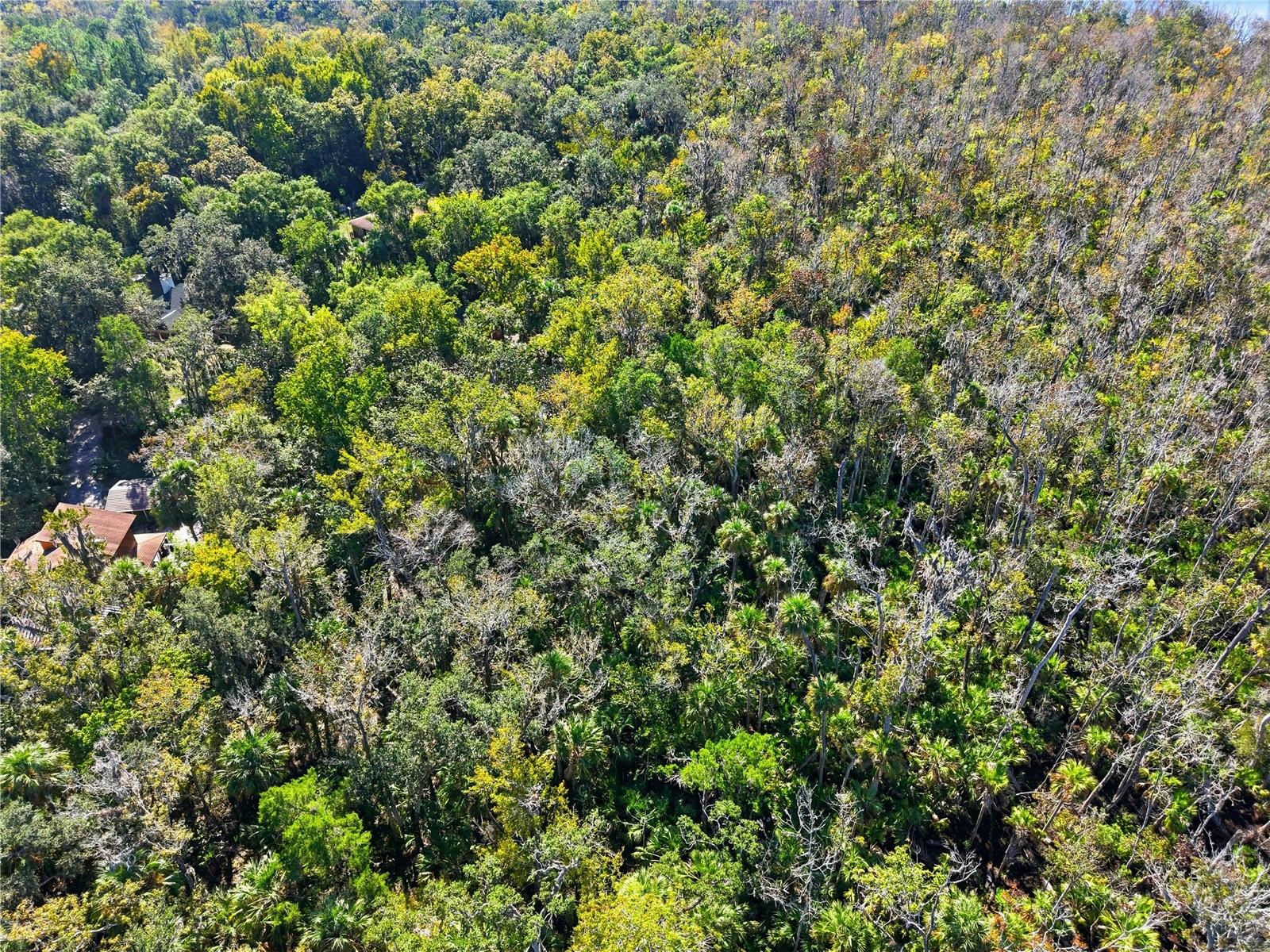 HOMOSASSA CO SUB - Land