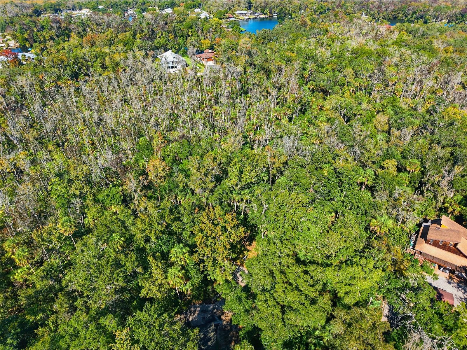 HOMOSASSA CO SUB - Land