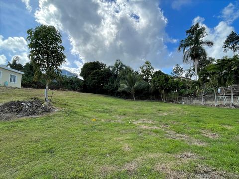 STRD 172 KM7.5 CAGUAS  00725