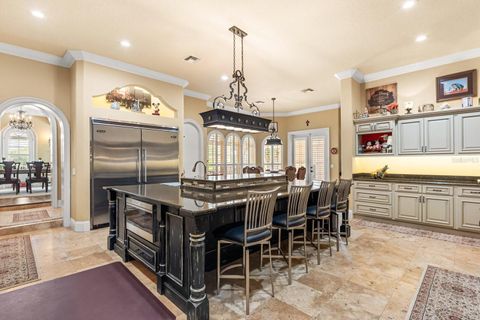 Tiny photo for 9400 Laws Rd, Clermont, FL 34714 (MLS # O6380609)