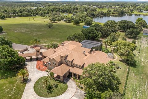 Tiny photo for 9400 Laws Rd, Clermont, FL 34714 (MLS # O6380609)