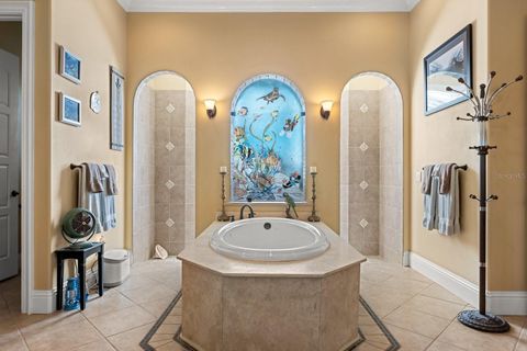 Tiny photo for 9400 Laws Rd, Clermont, FL 34714 (MLS # O6380609)