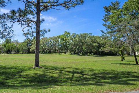 Tiny photo for 102 Whitewood Street, Homosassa, FL 34446 (MLS # TB8500475)