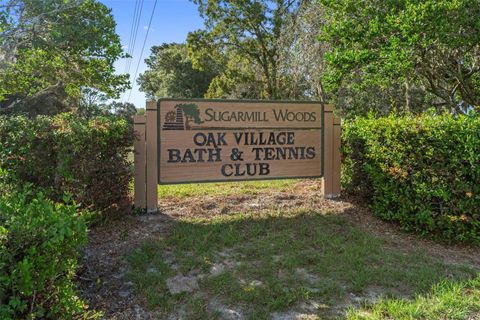 Tiny photo for 102 Whitewood Street, Homosassa, FL 34446 (MLS # TB8500475)