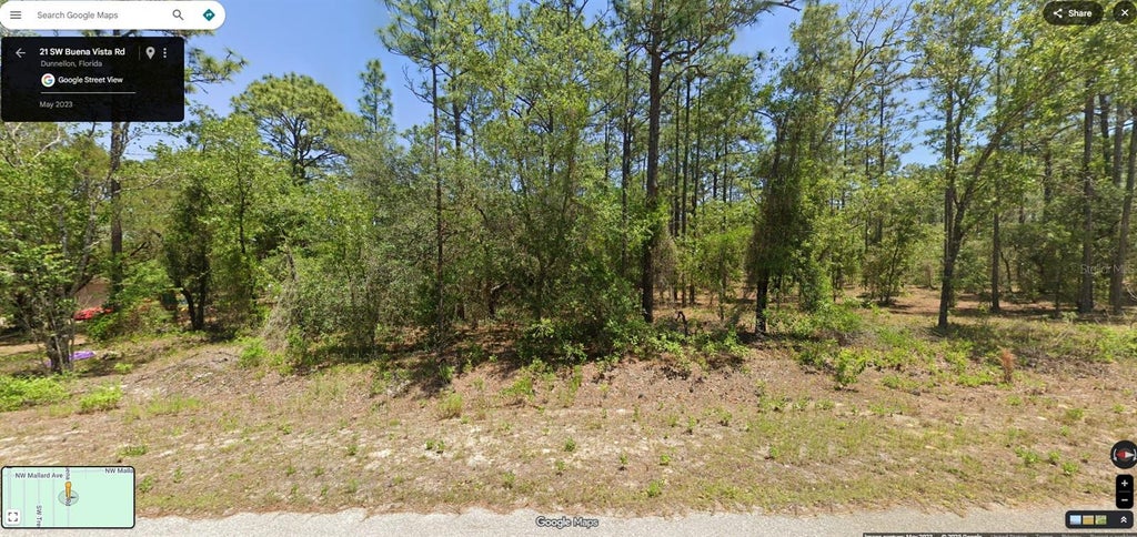 Photo of Tbd SW Buena Vista Road, Dunnellon, Fl, FL 34431 (MLS # OM713895)