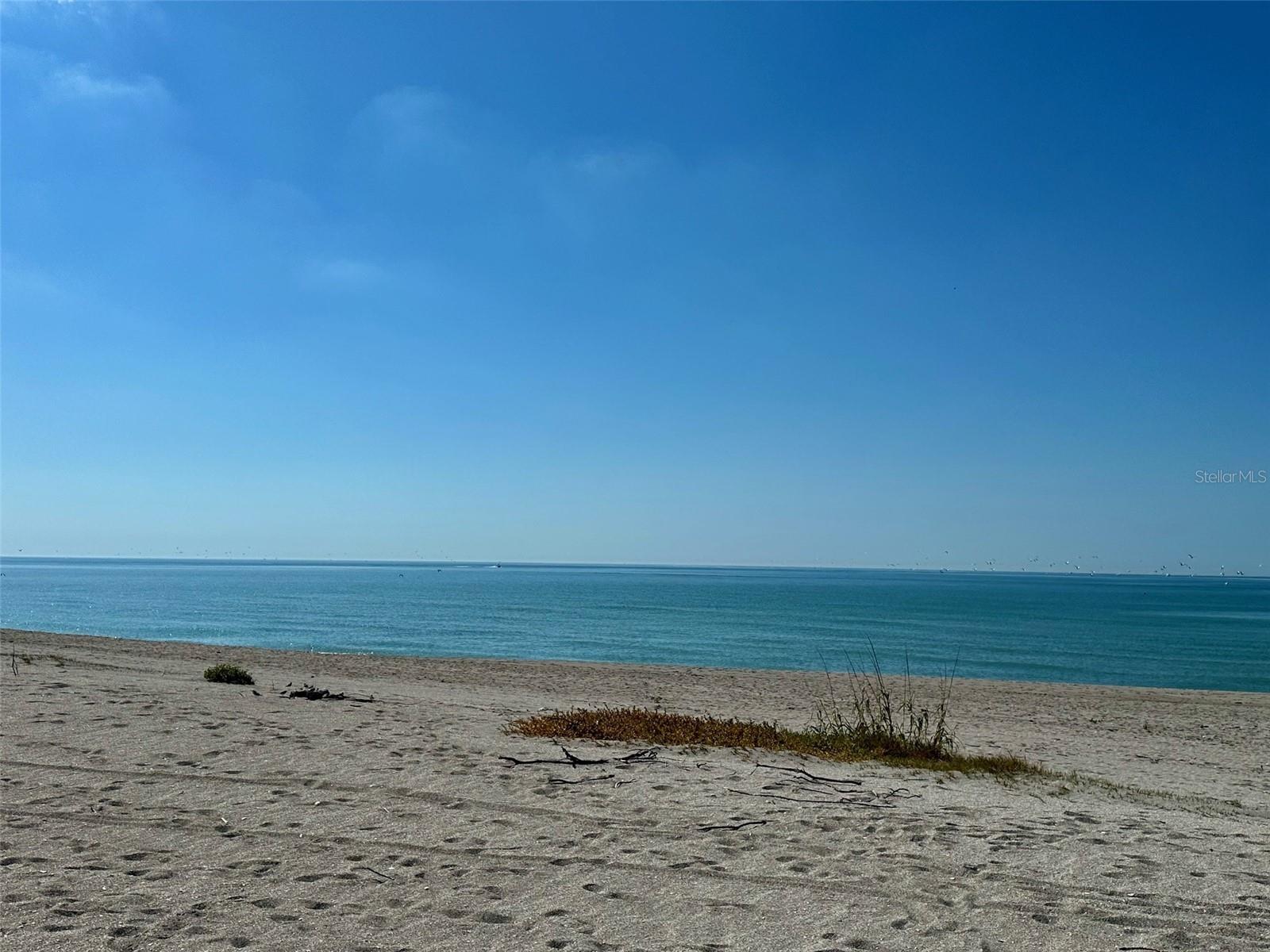 ORLEANS THE - Residential Lease