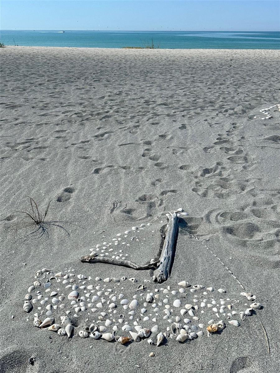 ORLEANS THE - Residential Lease