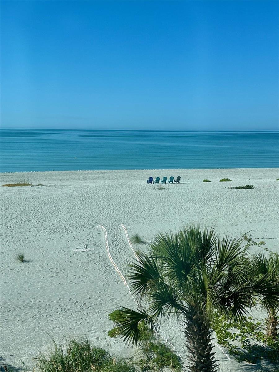 ORLEANS THE - Residential Lease