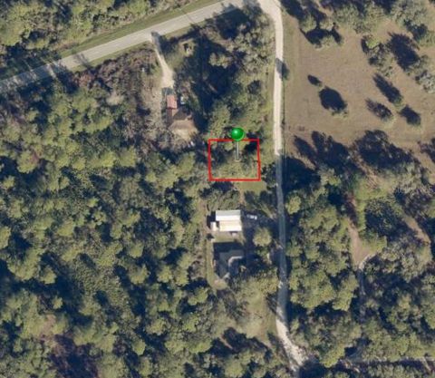 REED ST DE LEON SPRINGS FL 32130