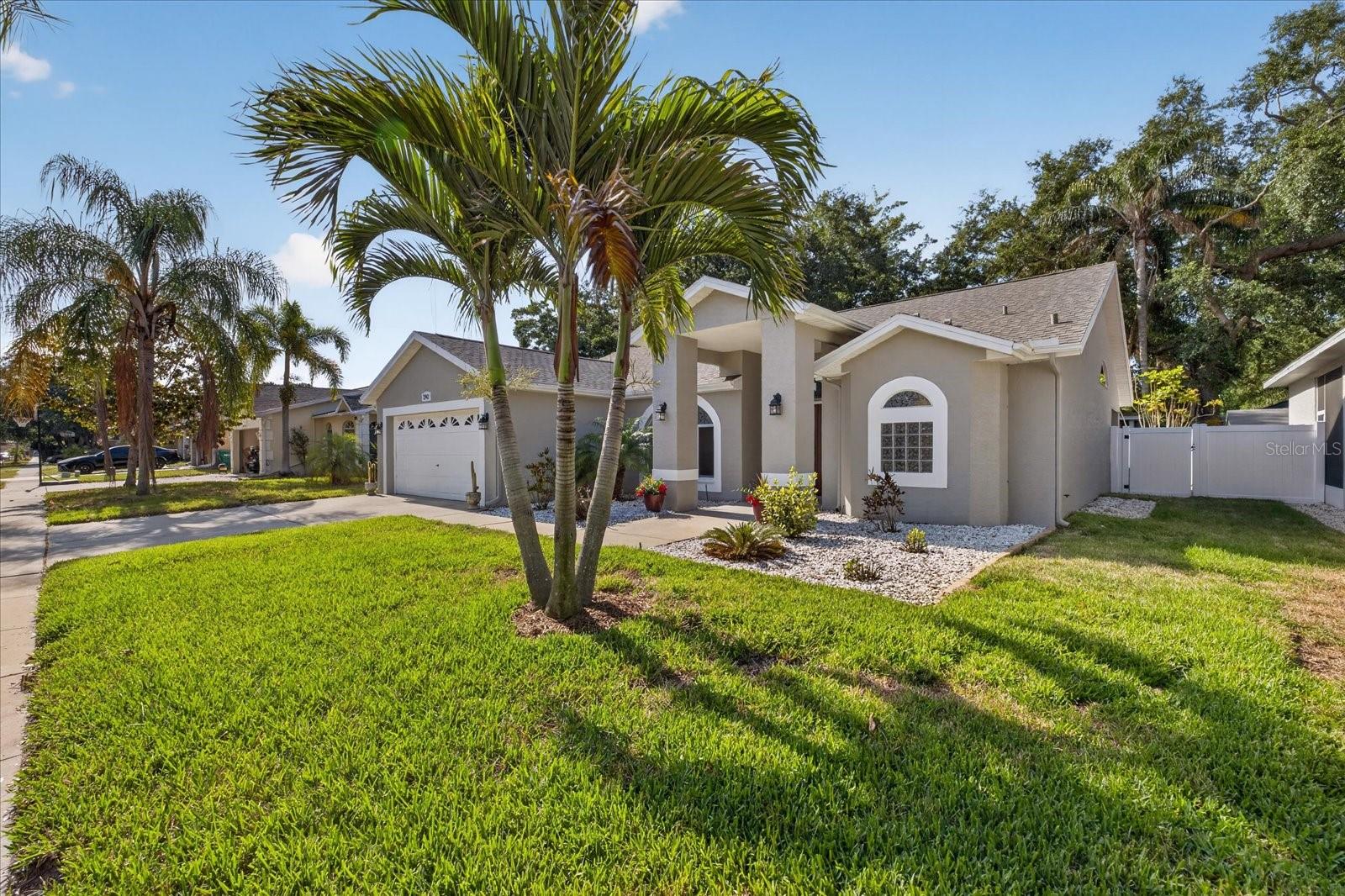 CROSSINGS AT LAKE TARPON - Residential